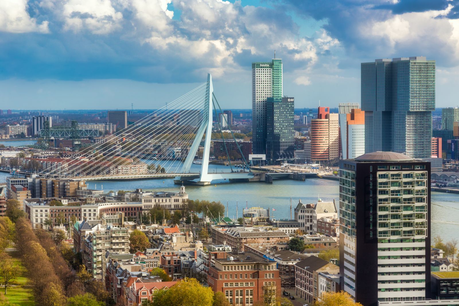 Rotterdam.jpg