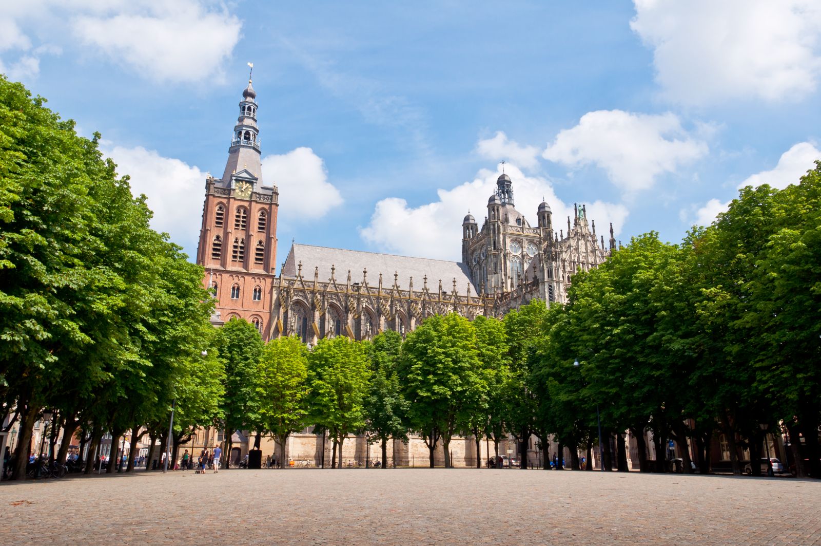 Sint-Janskathedraal.jpg