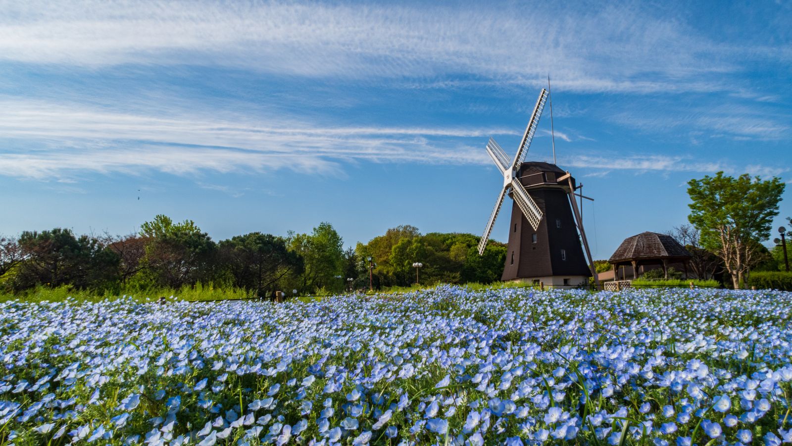 Mooie Natuur & Steden | BestBreaks | Arrangementen | Best Western